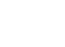 Dolphins NRL Logo